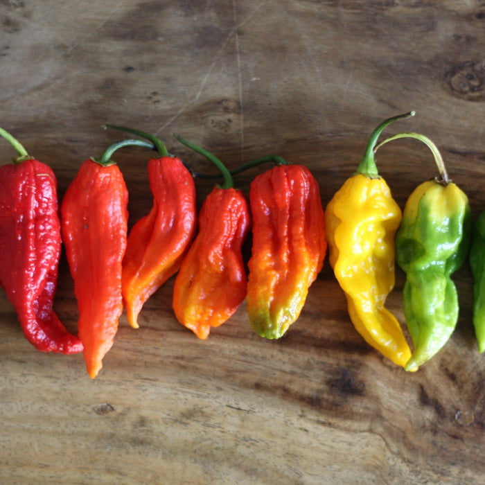 Fresh Hot Peppers Available For A Limited Time - Heat