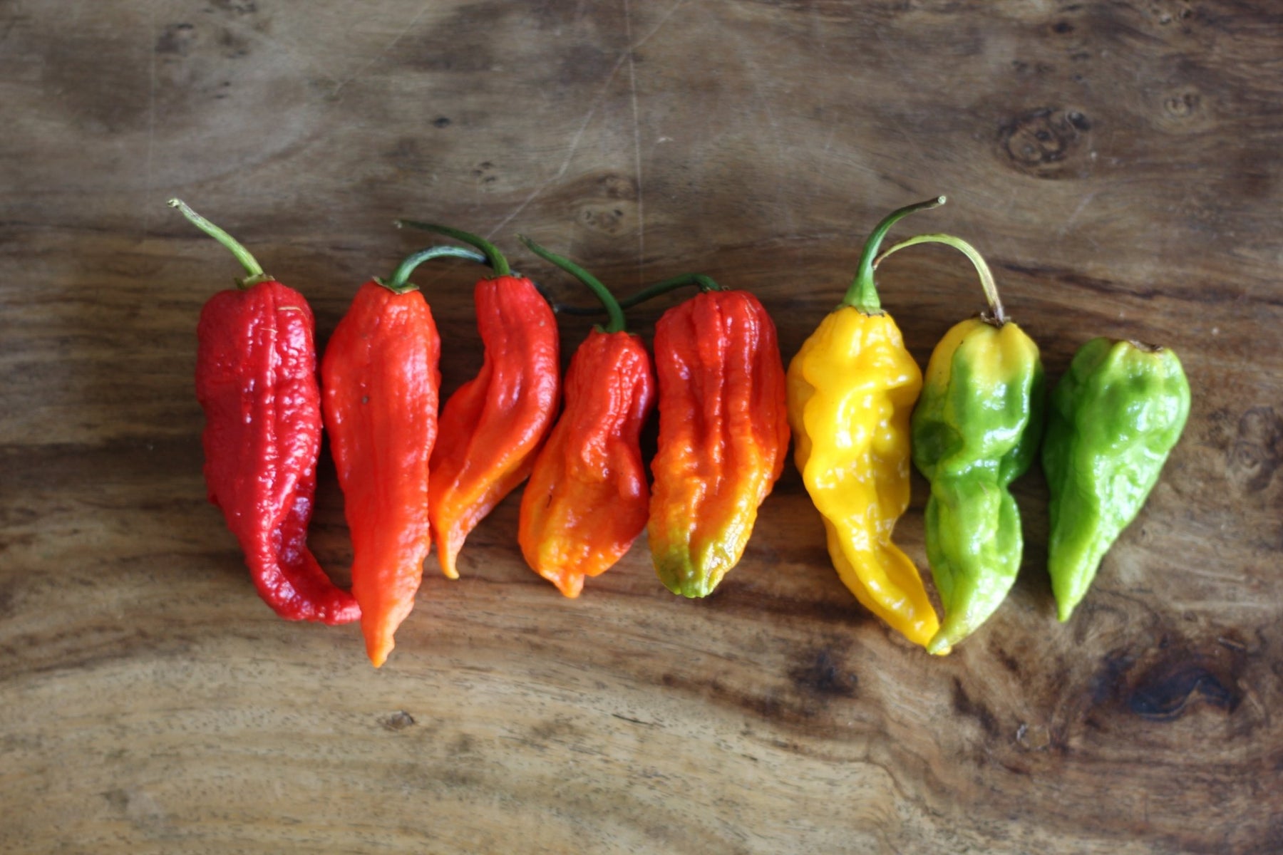 Fresh Hot Peppers Available For A Limited Time - Heat