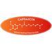 Capsaicin Sticker - Heat